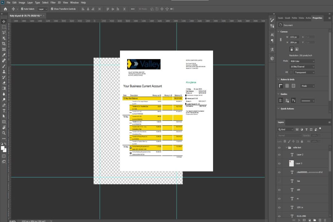 Modèle Word et PDF de relevé d'activité de la Banque Nationale Valley template